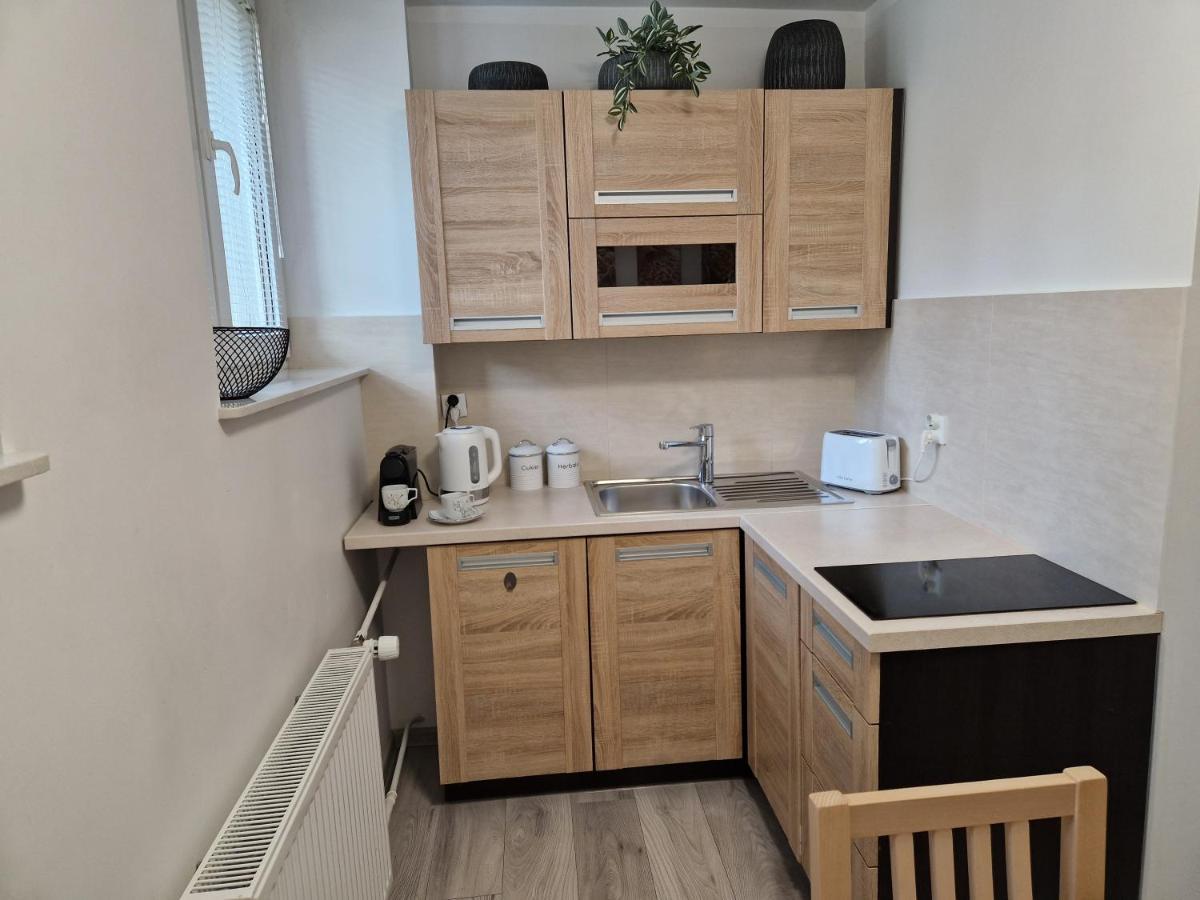 Apartament w Śródmieściu Sanok Exterior foto